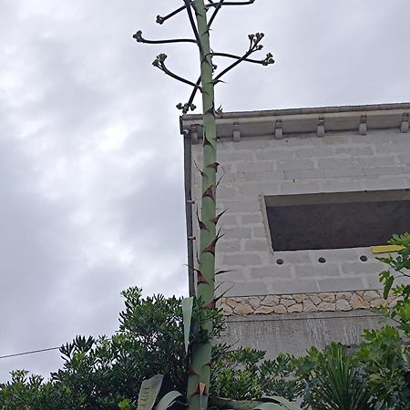Apartmarin Trogir Exteriör bild