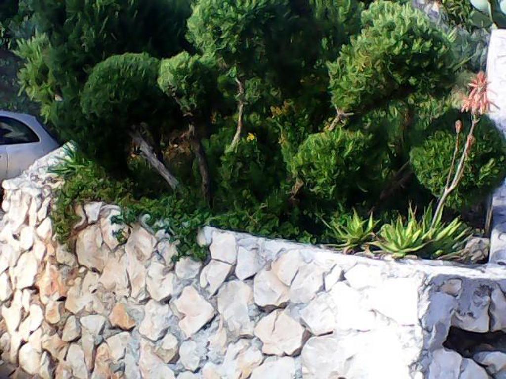 Apartmarin Trogir Rum bild