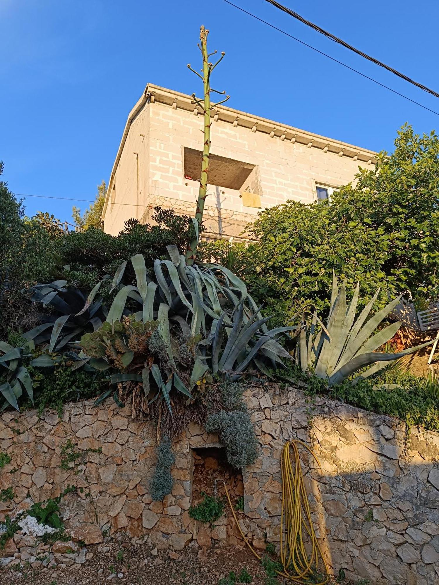 Apartmarin Trogir Exteriör bild