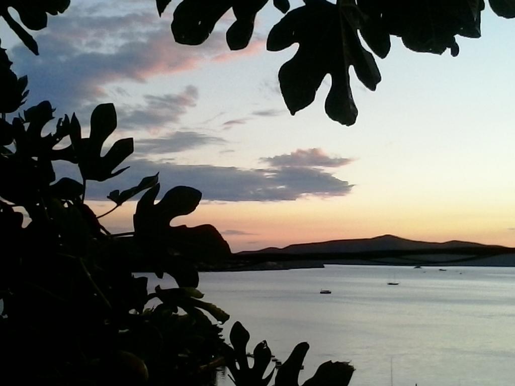 Apartmarin Trogir Rum bild