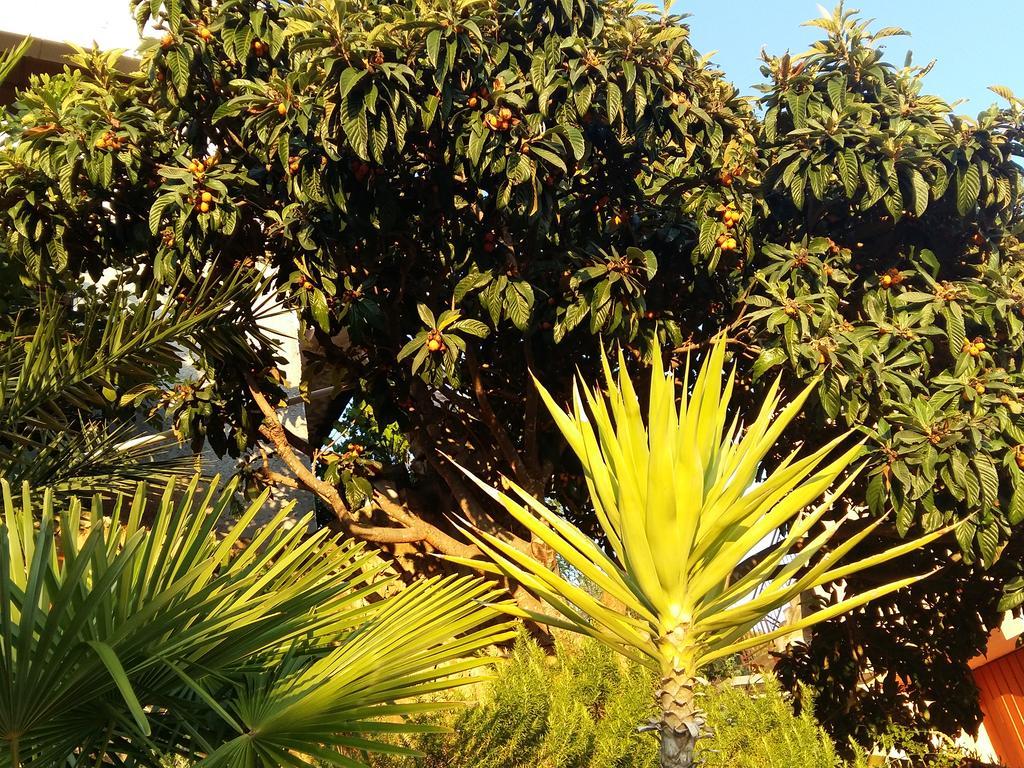 Apartmarin Trogir Exteriör bild