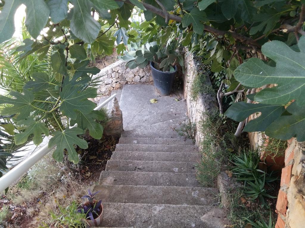 Apartmarin Trogir Exteriör bild